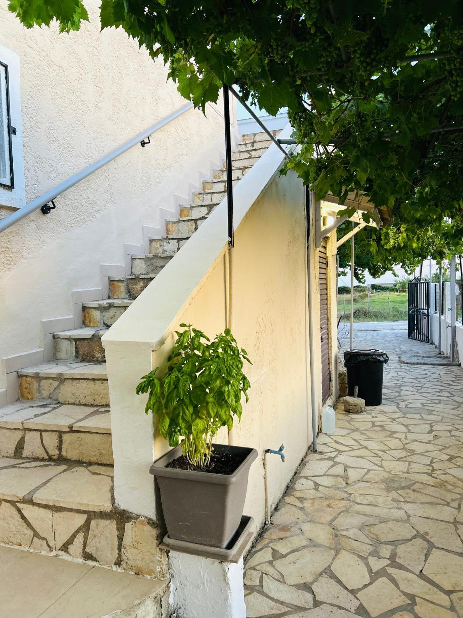 Appartement Paradises's Nest Ágios Geórgios