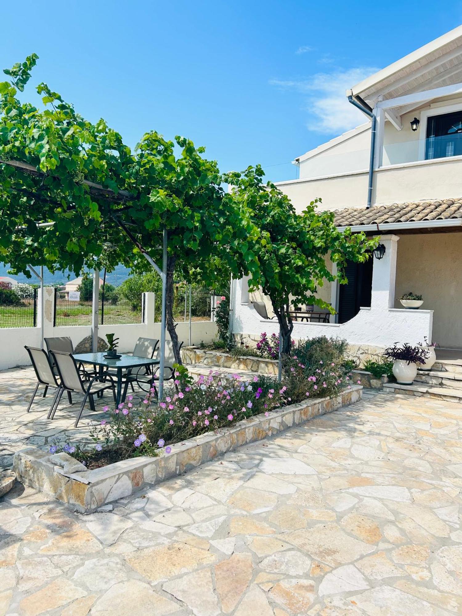 Paradises's Nest